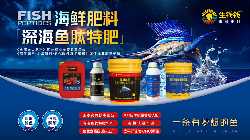 产品主图海报_画板 1.jpg