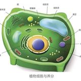 文章附图