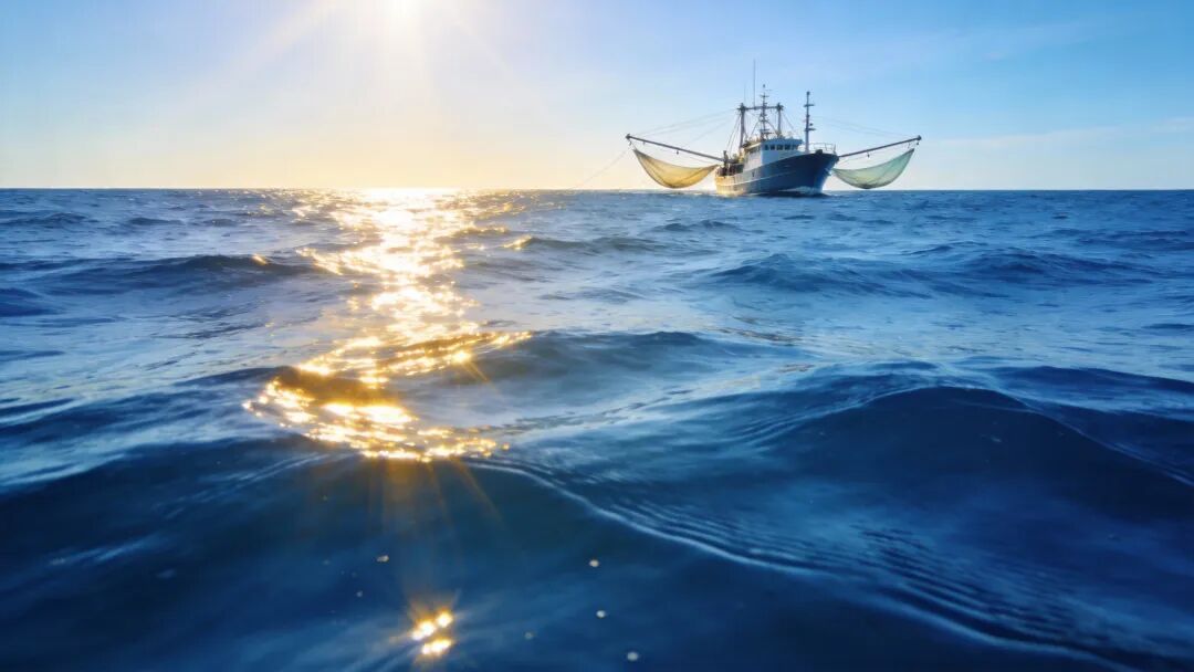 圖片描述:南海海洋場(chǎng)景