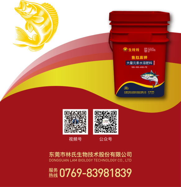 640?wx_fmt=png&from=appmsg